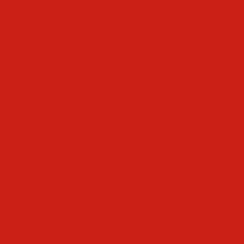 Solid Socks, PAPRIKA, swatch