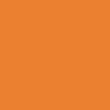 Pure Cotton Embroidered T-Shirt (2-8 Yrs), ORANGE, swatch