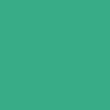 Solid Socks, MINT, swatch