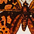 Butterfly Medium Lantern, MULTI, swatch