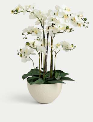 

Moss & Sweetpea Artificial Extra Large Orchid in Ceramic Pot, White