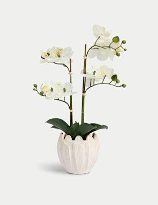 

Moss & Sweetpea Artificial Orchid Arrangement in Ceramic Pot, White