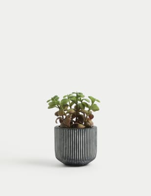 

M&S Collection Artificial Mini Succulent Plant - Green, Green