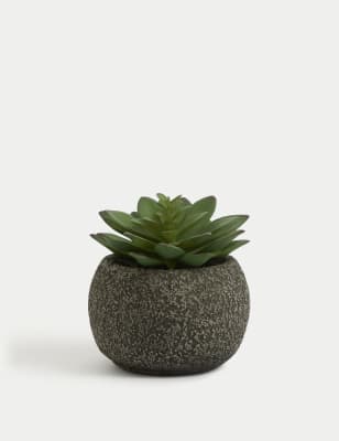 

Moss & Sweetpea Artificial Mini Succulent in Concrete Pot - Green, Green