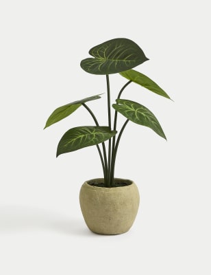 

Moss & Sweetpea Artificial Taro Leaf Plant in Cement Pot - Green, Green