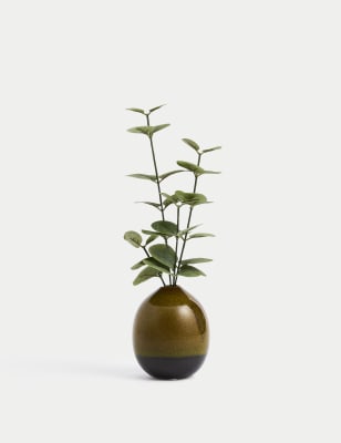 

Moss & Sweetpea Artificial Eucalyptus in Ceramic Pot - Green, Green