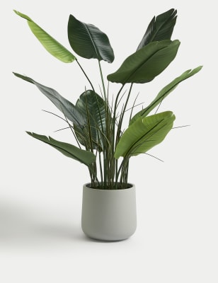 

M&S Collection Artificial Large Banana Plant in Concrete Pot - Green, Green