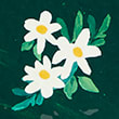 Set Of 4 Expressive Floral Picnic Side Plates, MULTI, swatch