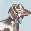 12 Piece Dachshund Dinner Set, MULTI, swatch