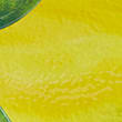 Lemon Picnic Platter, YELLOW, swatch