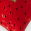 12 Piece Strawberry Dinner Set, MULTI, swatch