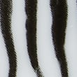 12 Piece Zebra Dinner Set, BLACK MIX, swatch