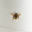 Bee Mug, MULTI, swatch