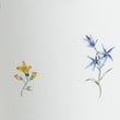 Set of 4 Floral Mugs, MULTI, swatch