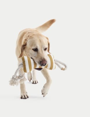 

M&S Collection Striped Bone Dog Toy - Multi, Multi