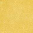 Velvet Bee Embroidered Cushion, OCHRE, swatch