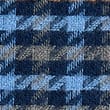 Checked Fringed Scarf, BLUE MIX, swatch