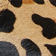 Leather Leopard Print Buckle Clog Mules, BROWN MIX, swatch