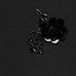 Cotton Rich Embellished Sweatshirt, BLACK, swatch