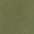 The Cotton Rich Hoodie, OLIVE, swatch