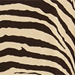 Jersey Animal Print Midaxi Bodycon Dress, BROWN MIX, swatch