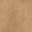 Suedette Funnel Neck Short Jacket, TAN, swatch