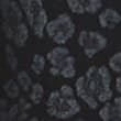 Printed Coated High Waisted Jeggings, BLACK MIX, swatch