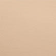 Body Define&trade; Firm Control No VPL Thong, ROSE QUARTZ, swatch