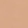 2 Pack Body Invisibles&trade; No VPL Shaping Thongs, SUNSTONE, swatch