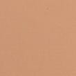2 Pack Body Invisibles&trade; No VPL Shaping Briefs, SUNSTONE, swatch