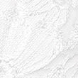 Embrace Embroidered Wired Full Cup Bra A-E, WHITE, swatch
