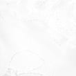 Embrace Wired Extra Support Bra F-J, WHITE, swatch