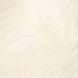 Body Lace Non Wired Total Support Bra (B-H), IVORY, swatch