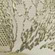 Ianthe Embroidered Non Wired Bralette (A-E), LIGHT KHAKI, swatch