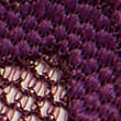 Joy Lace Brazilian Knickers, DEEP MAUVE, swatch