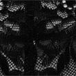 Vera Lace High Leg Knickers, BLACK, swatch