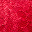 Vera Lace Wired Push Up Plunge Bra (A-E), RED, swatch