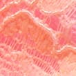 Meia Lace High Waisted High Leg Knickers, PINK MIX, swatch