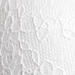 Ida Lace Wired Push-Up Plunge Bra (A-E), WHITE, swatch
