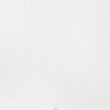 Slim Fit Easy Iron Pure Cotton Shirt, WHITE, swatch