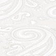 Paisley Tie & Pocket Square Set, CHAMPAGNE, swatch