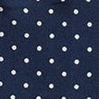 Pin Dot Pure Silk Pocket Square, BLUE, swatch