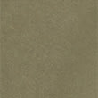 Organic Cotton Cargo Shorts, KHAKI, swatch