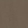 Pure Cotton Regular Fit Crew Neck T-Shirt, MEDIUM BROWN, swatch