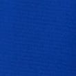 Drawstring Sport Shorts, COBALT, swatch