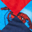 5pk Pure Cotton Spider-Man™ Briefs, MULTI, swatch