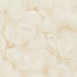 Winnie the Pooh&trade; Boucl&eacute; Jacket, CREAM MIX, swatch