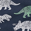 Cotton Rich Dinosaur Sweatshirt (2-7 Yrs), CARBON, swatch