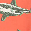2pc Cotton Rich Shark Shirt and T-Shirt, ORANGE MIX, swatch