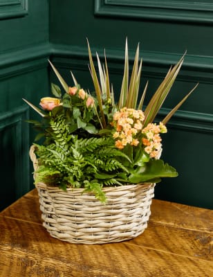 M&S Autumn Flowering Basket